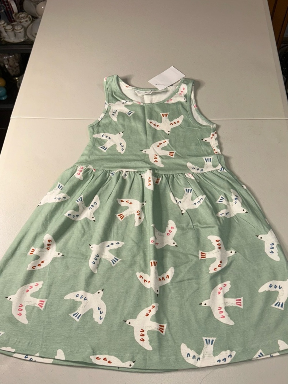 H&M Mint Green Dress with White Seagull Print
